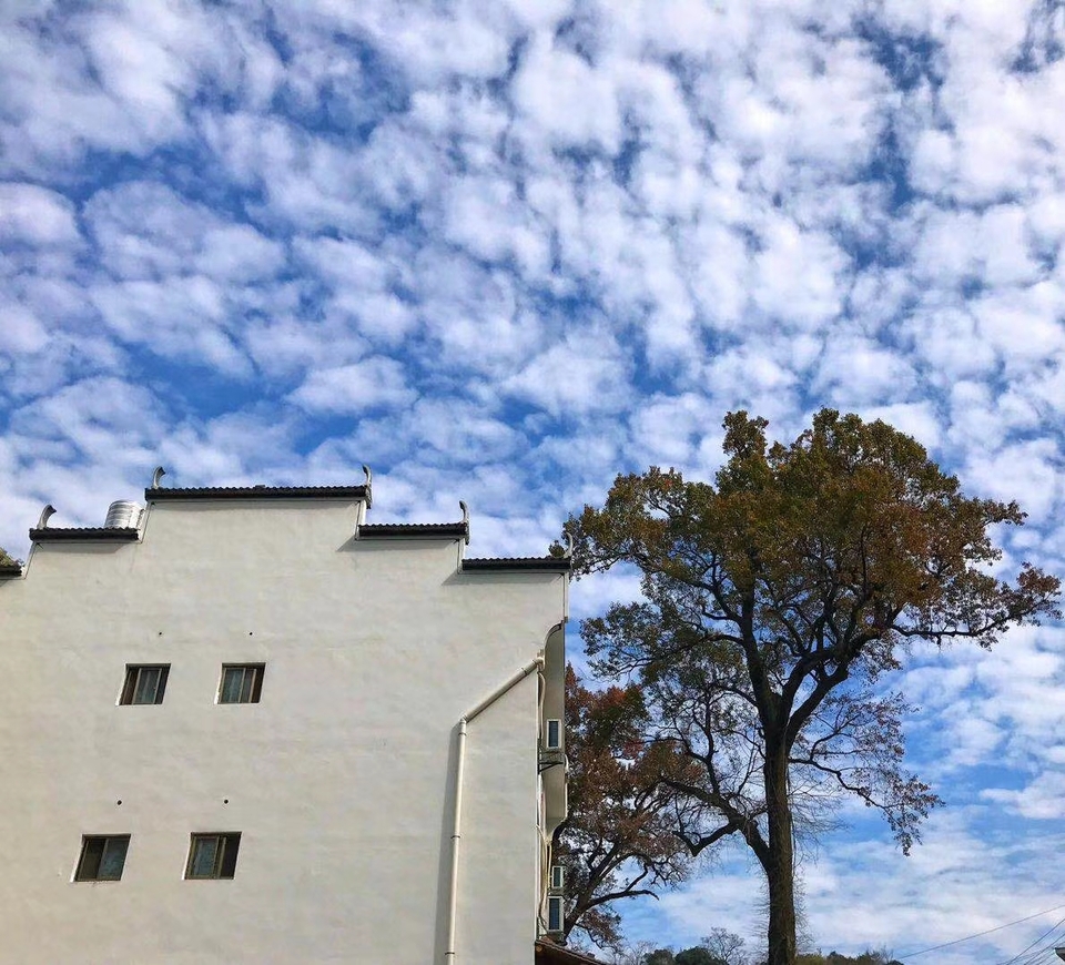 mmexport1511089478756