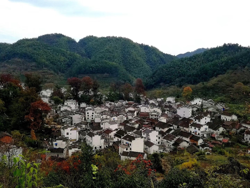 mmexport1511089486749