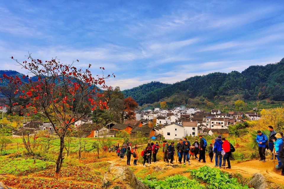 mmexport1511089904927