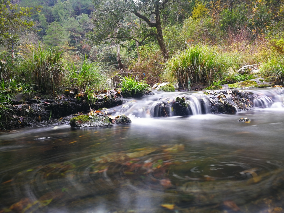 mmexport1511089923406