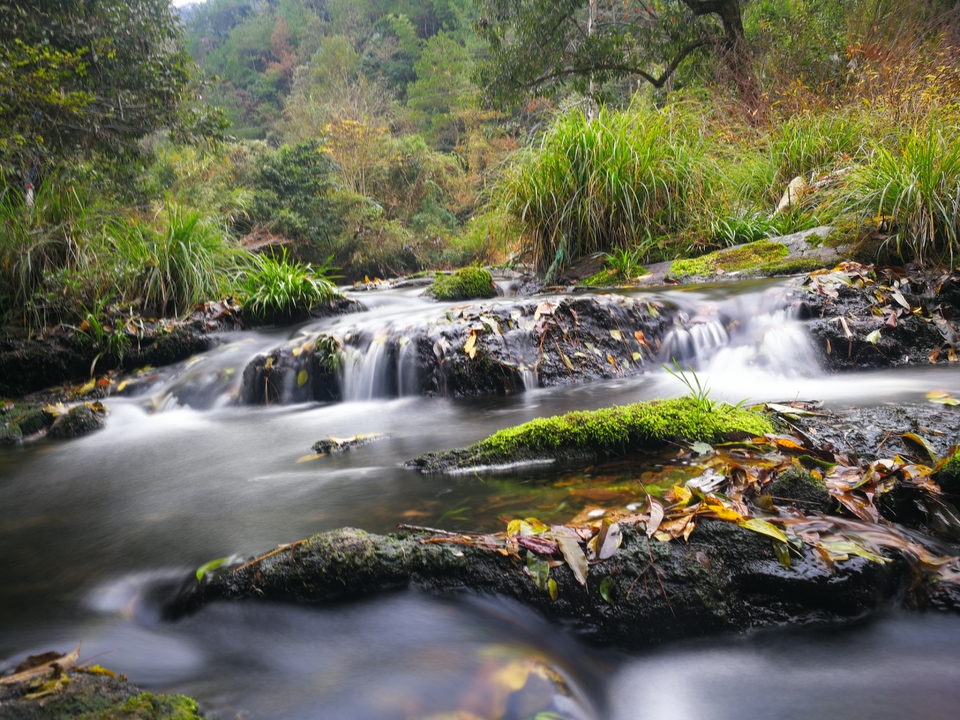 mmexport1511089929443