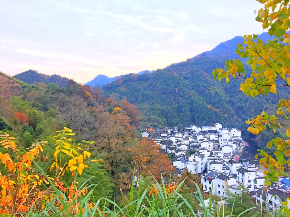 mmexport1511089950968