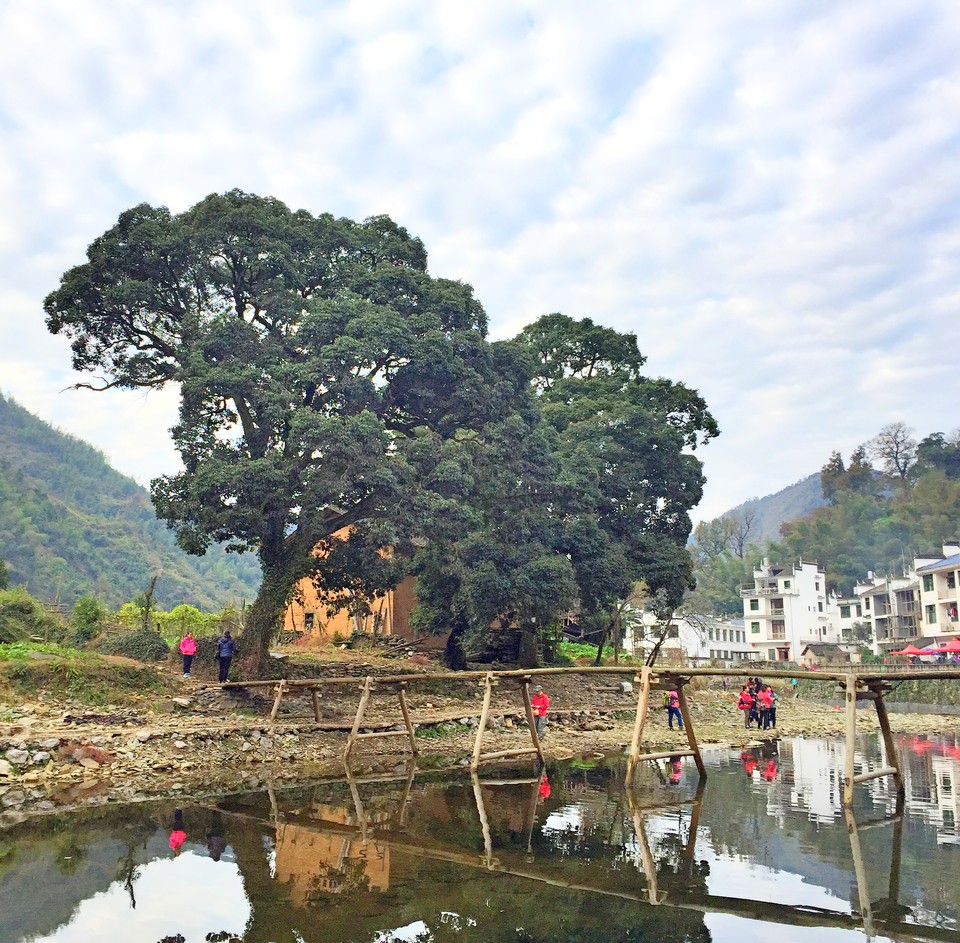 mmexport1511089965594