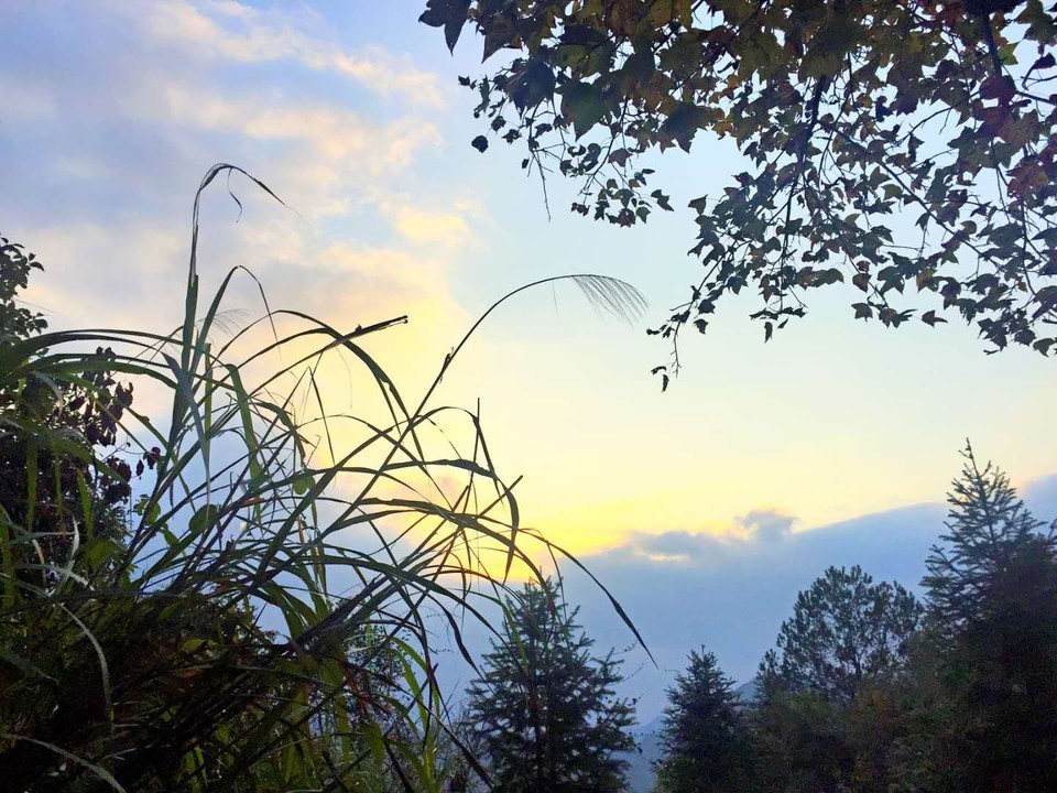 mmexport1511089993907