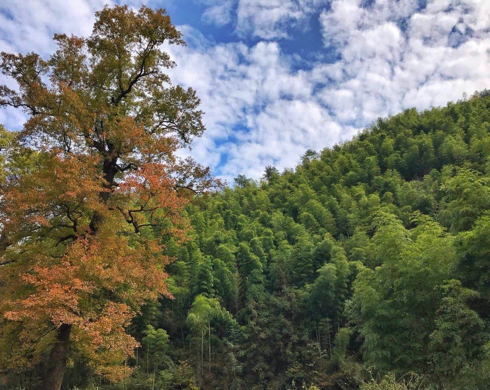 mmexport1511090130138