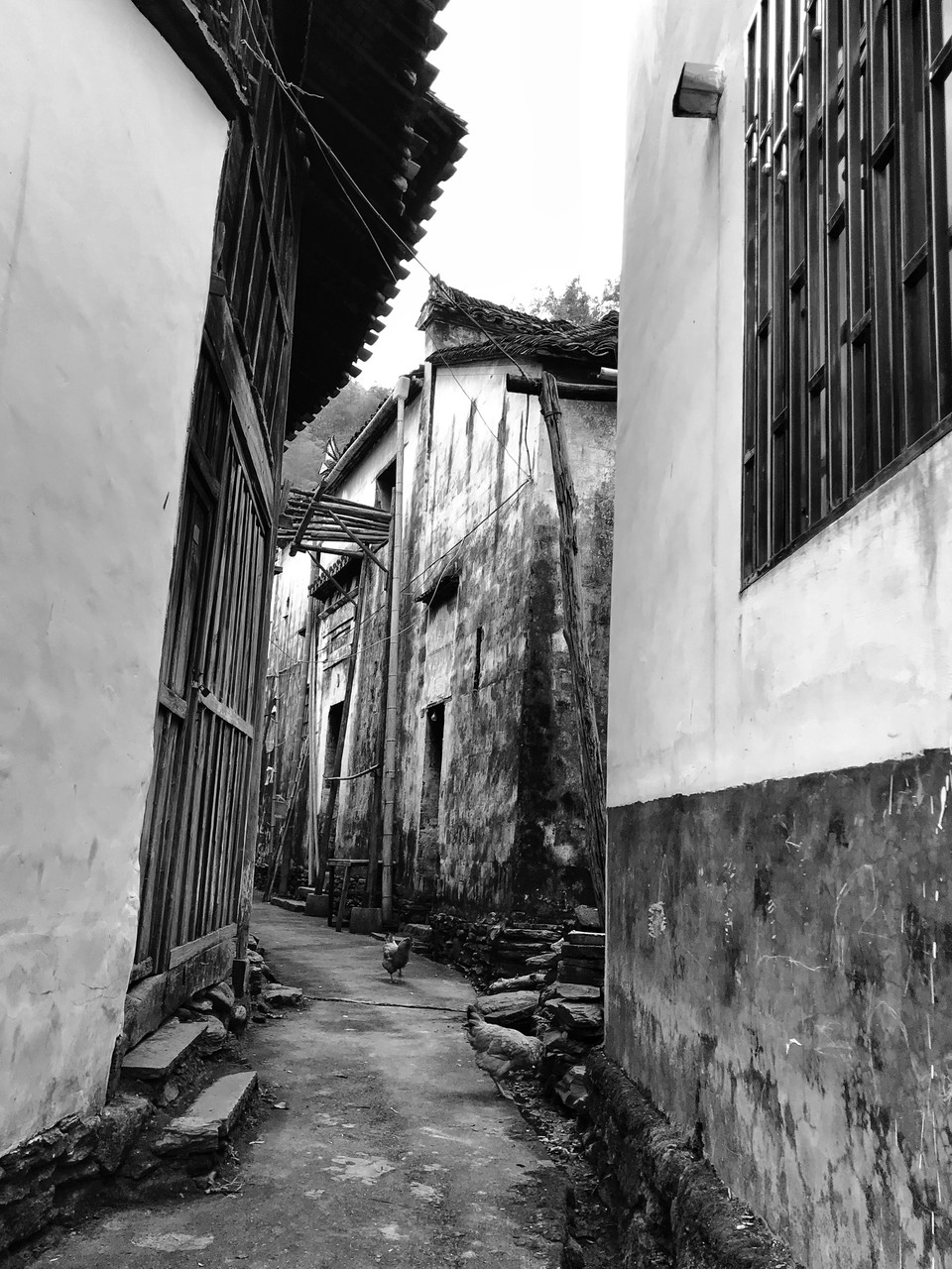 mmexport1511090264820