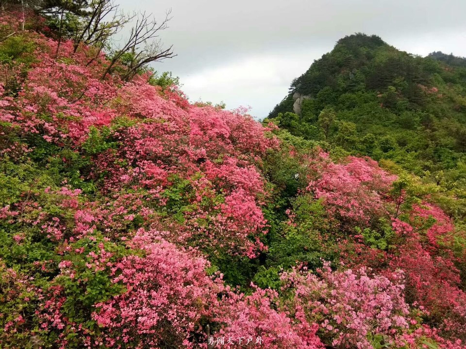 4d61e7929956e4e80b6609d1bc7a28f