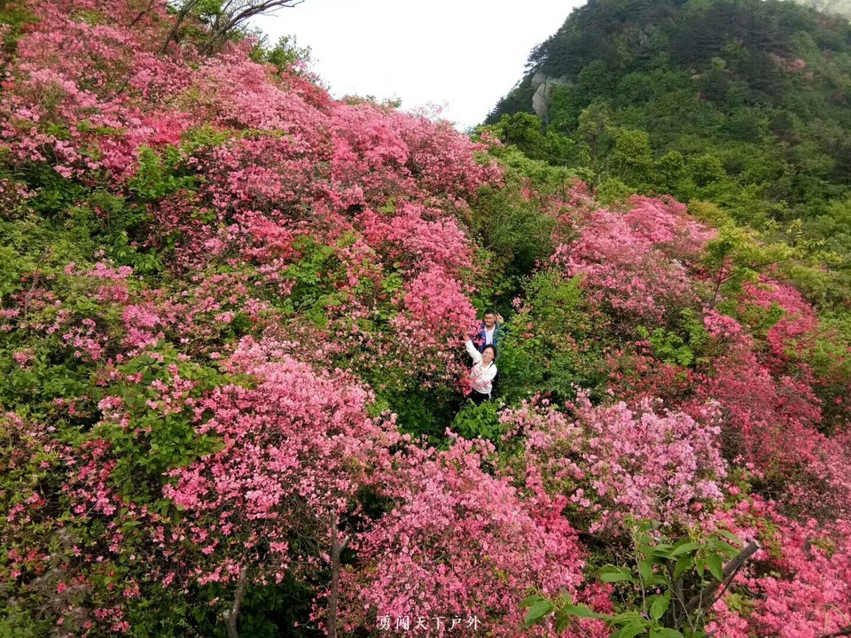 070e863adc239c001ba309497f005a3