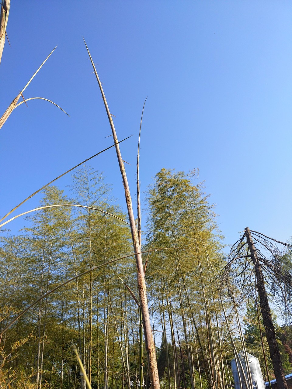 9afcf0ec1223d7d26026c401a355a17