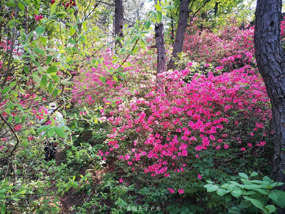 0c0af41c9c2b78625afd47ebec56e74