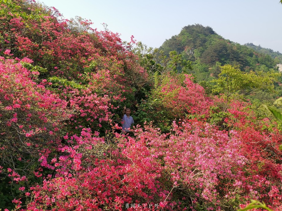 11ab6f6e2c6e665430cbb83f5755a9f