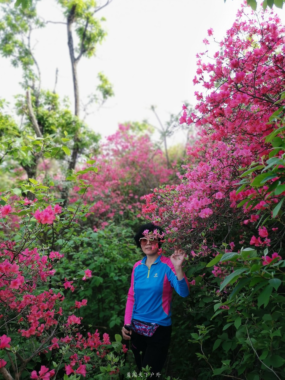 31e81d56b213edd474774f509b83176