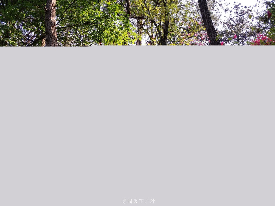 8989e588c9164056da2e44afd0585c9