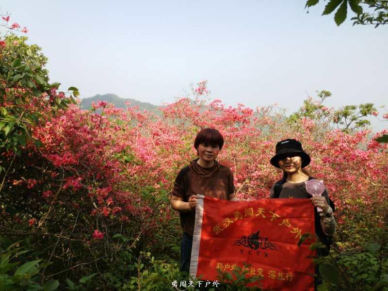 db6fd54d2a55cb394aaf05861bf1aa1