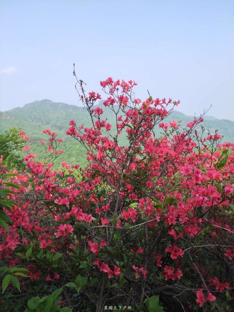 6bbc1ab4363ff2b18e89ba525769411