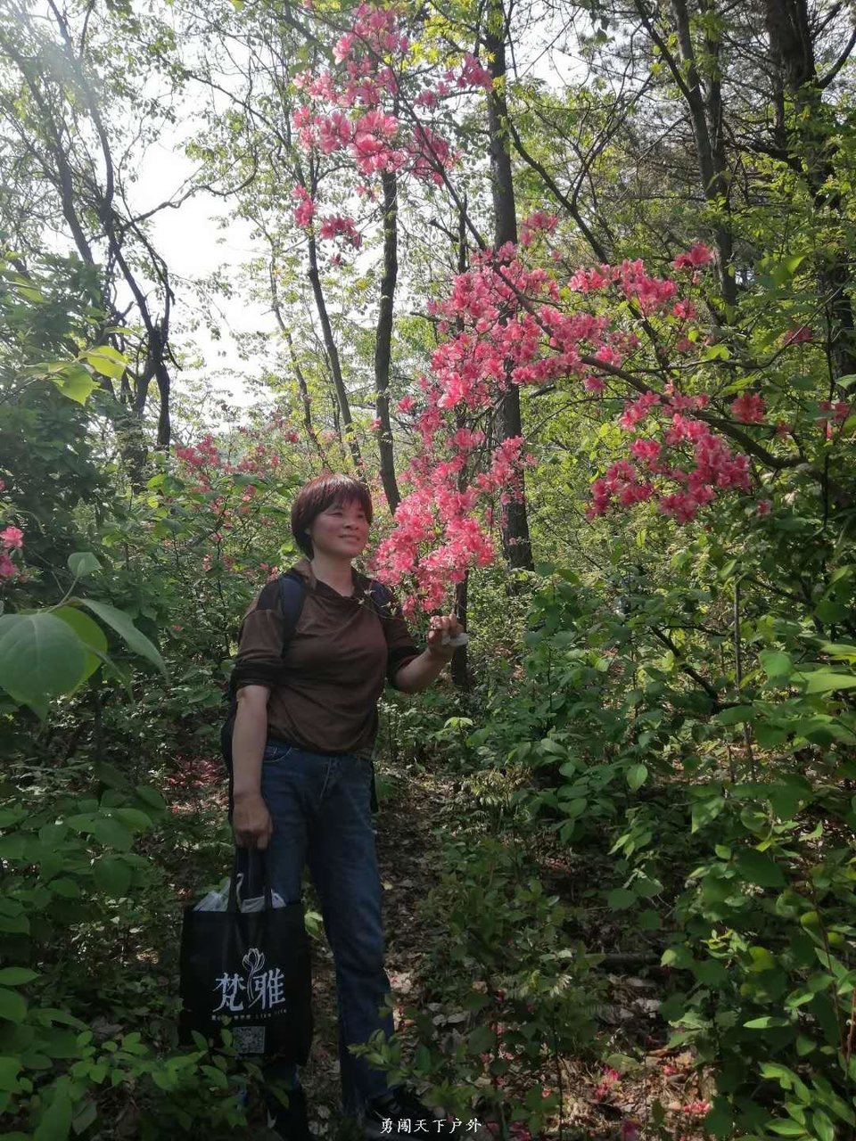 a553da1ccfe6ee137c012367f7f1c7e