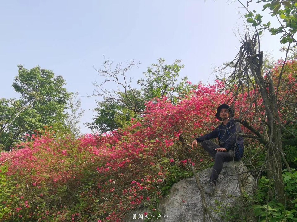 b0b4625bfe6d8e99c7e54cec34e28ce