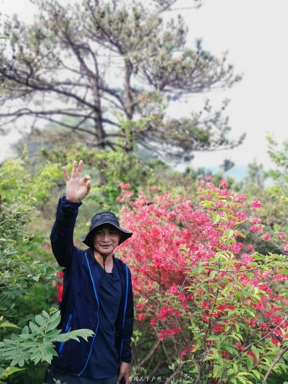 c8c0fe34cf17d613d1d77a339f6aa13