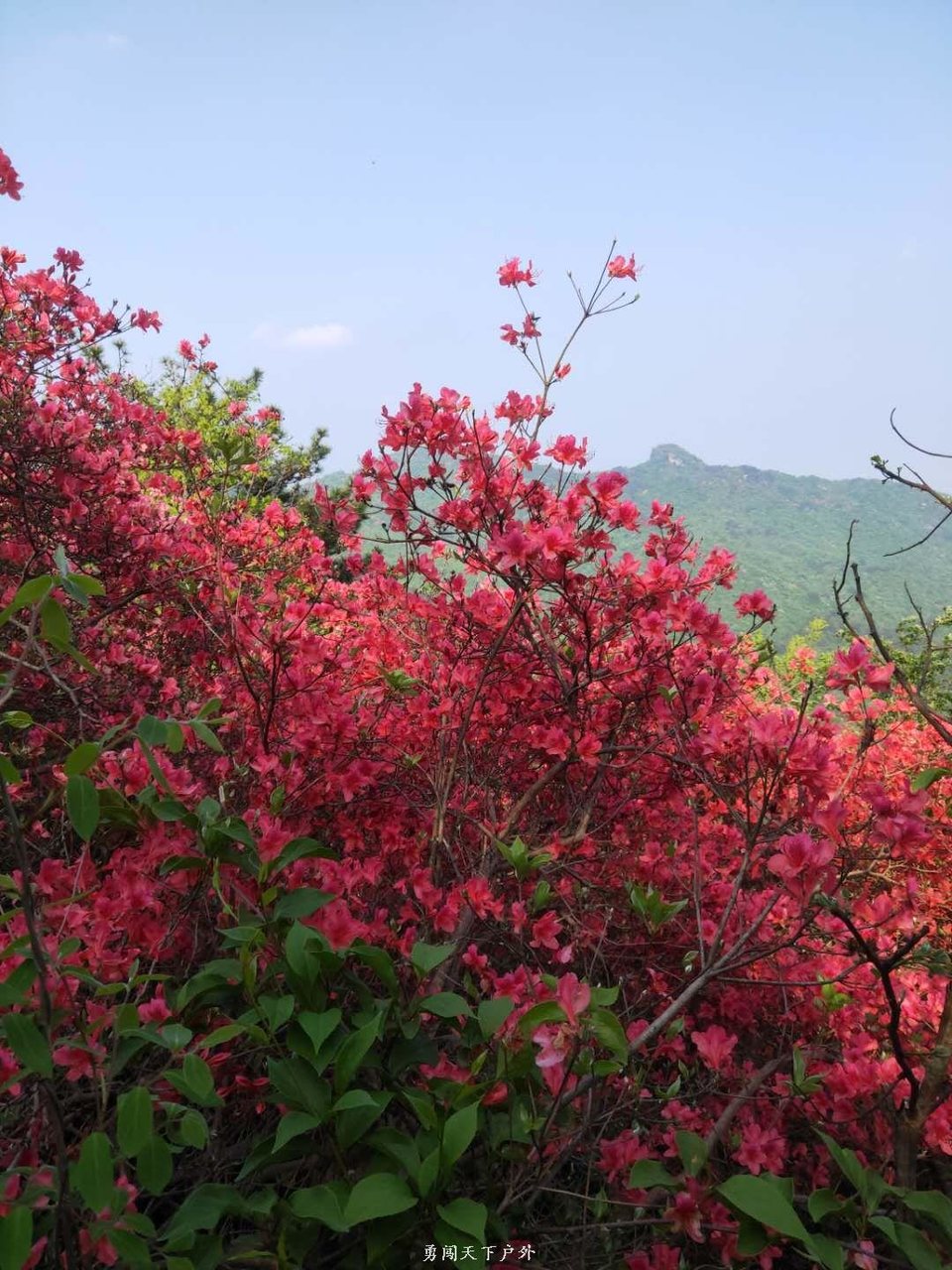 c8cd364abf2c01105a5a8a1f63fb87e