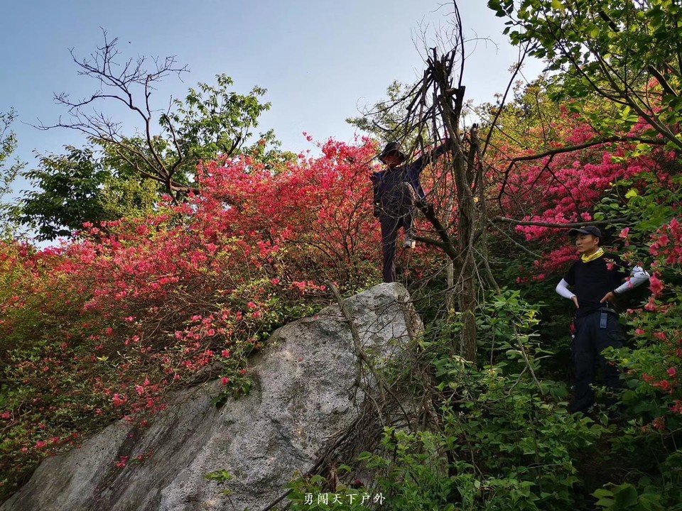 cd5308b1a125a943f73106b5f8c071e