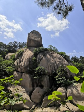 e34c0f09c5d5c65dce20d5bc2544a26