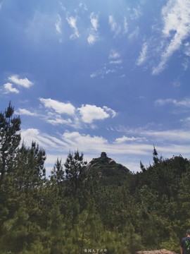 a495fdab3db377e837080d9c3a69453