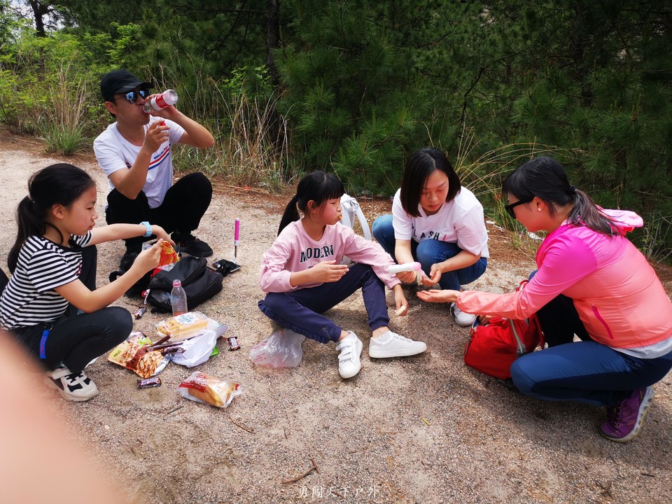 77da8c882e0fd44747caa9c536f56ba