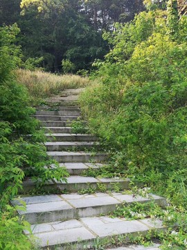 49a5dc85a8b90fd1ff6a88a29c72357