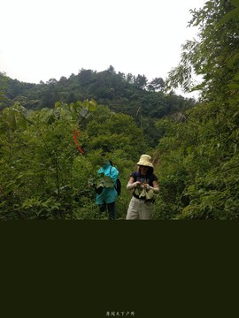 201f85cad116629a90a95876d3eb87d