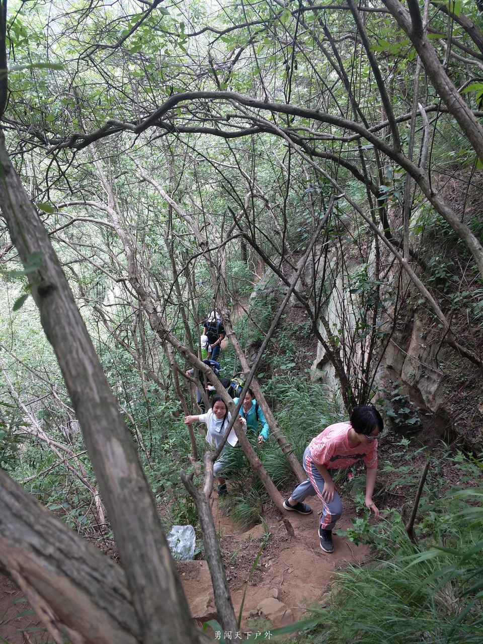 2ed50c82cb4d17c0f0fc2d5a0c8e4ba