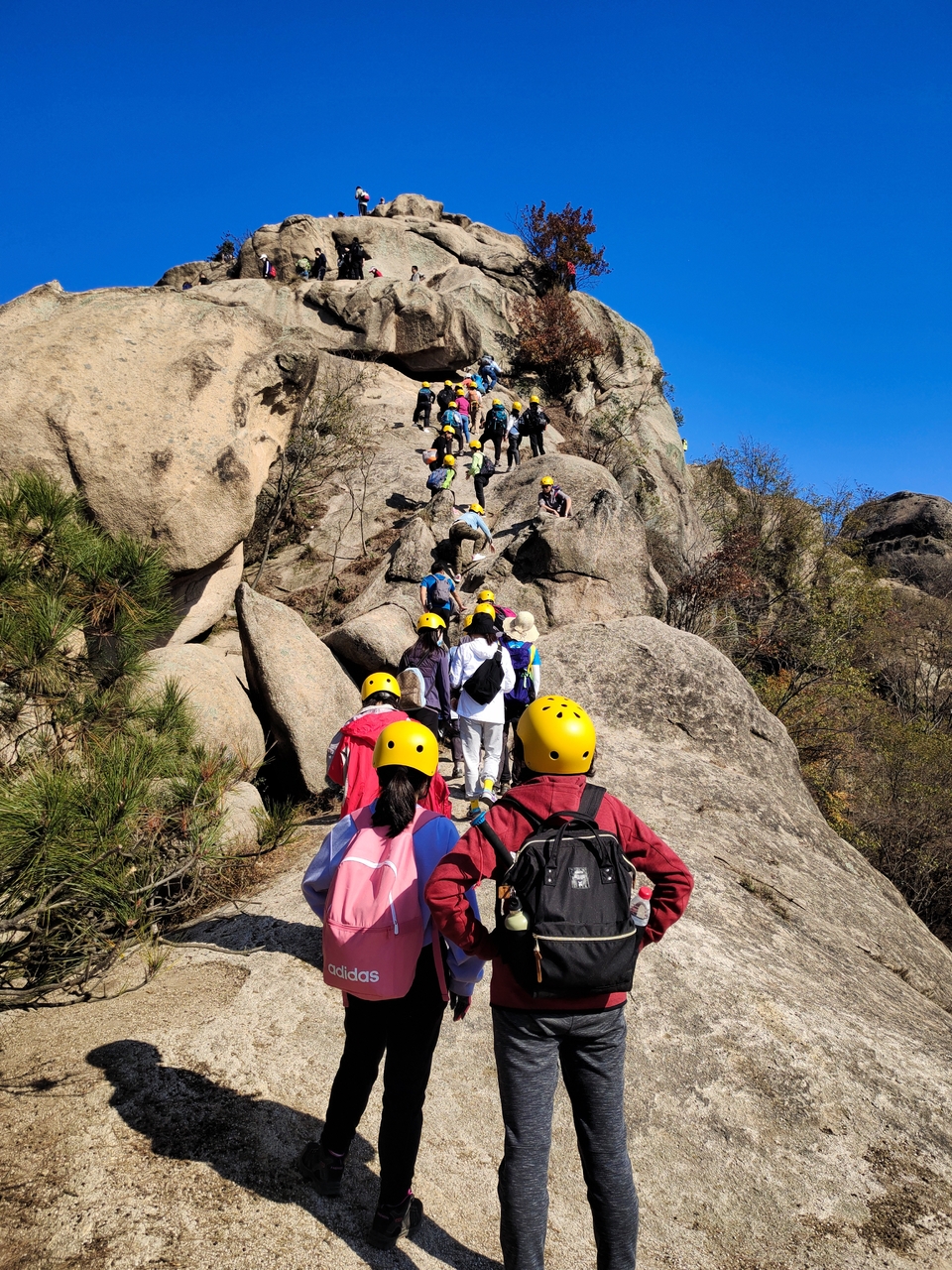 微信图片_20201115175447