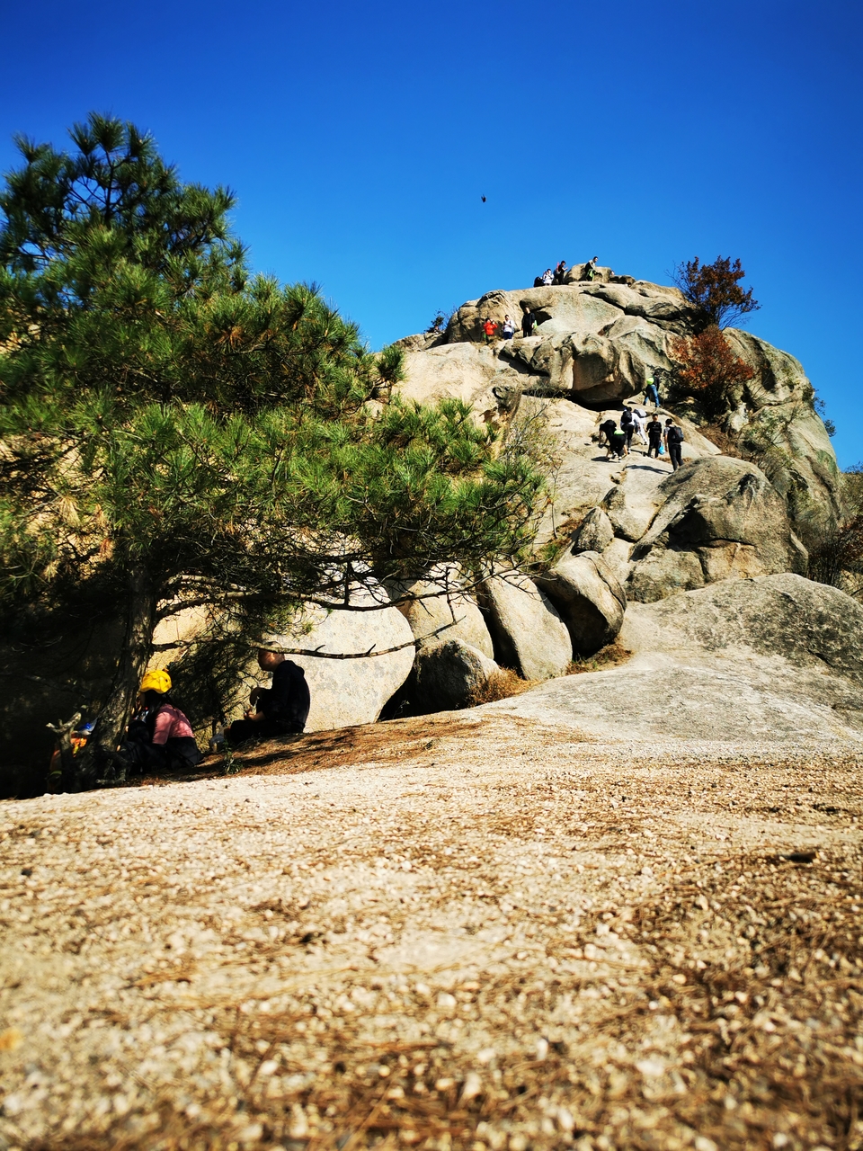 微信图片_20201115175655