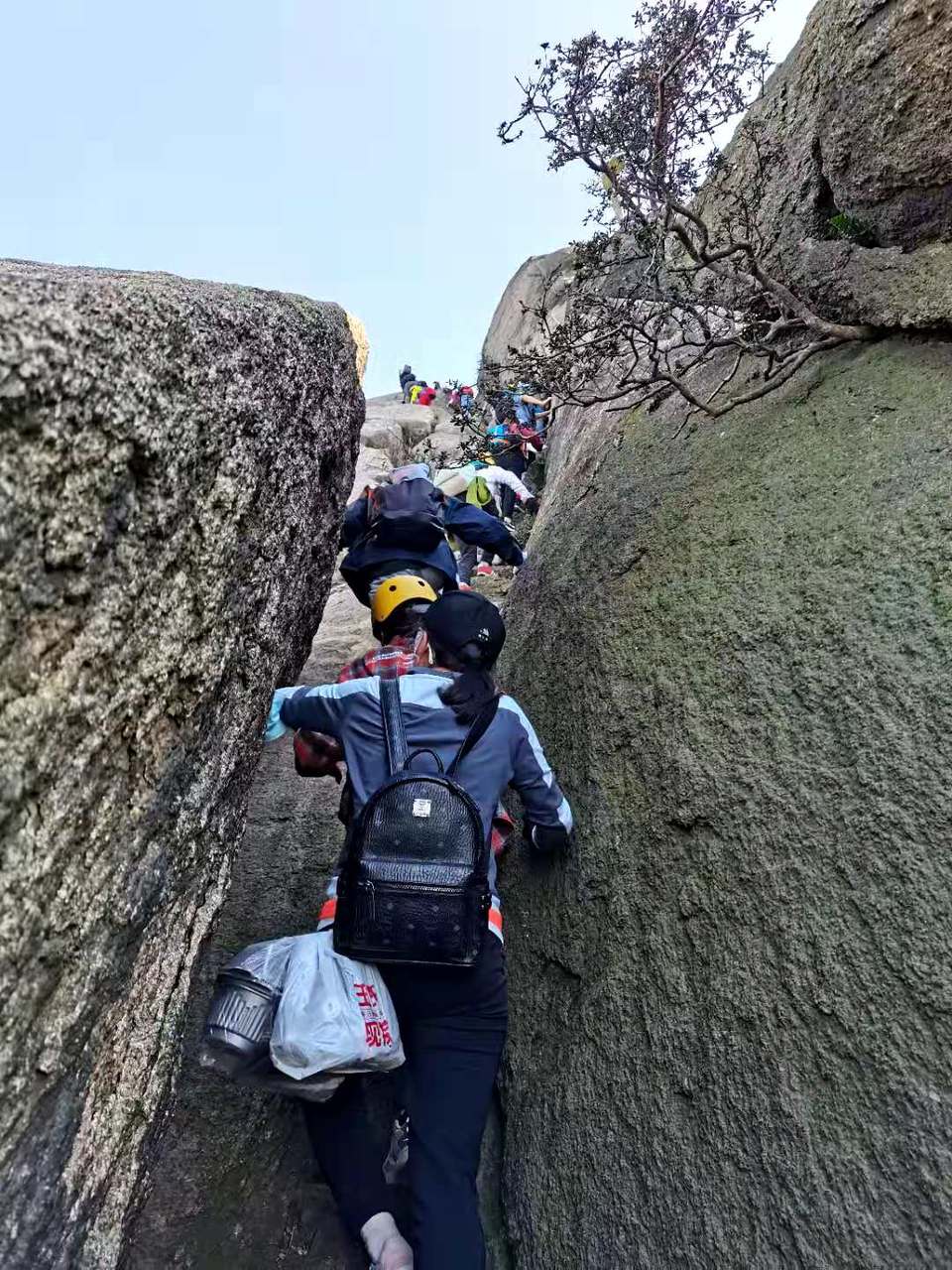 微信图片_20201115175750