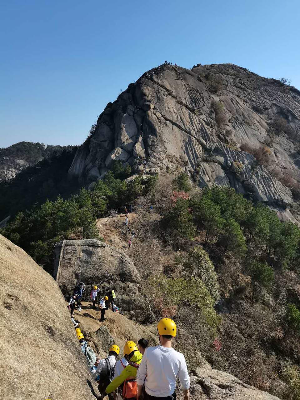 微信图片_20201115175802