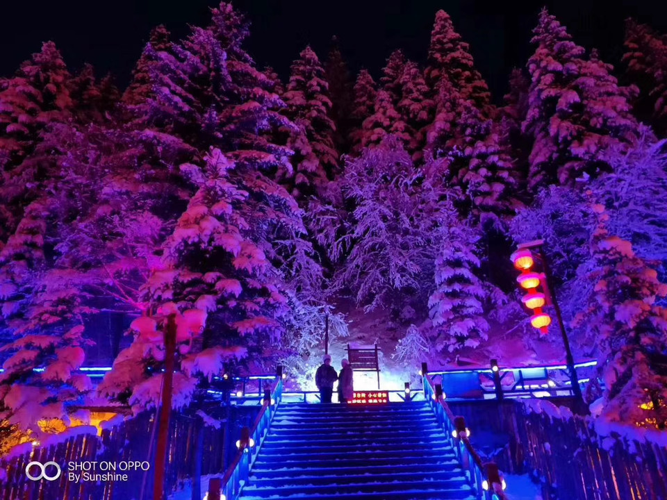 微信图片_20201104111950