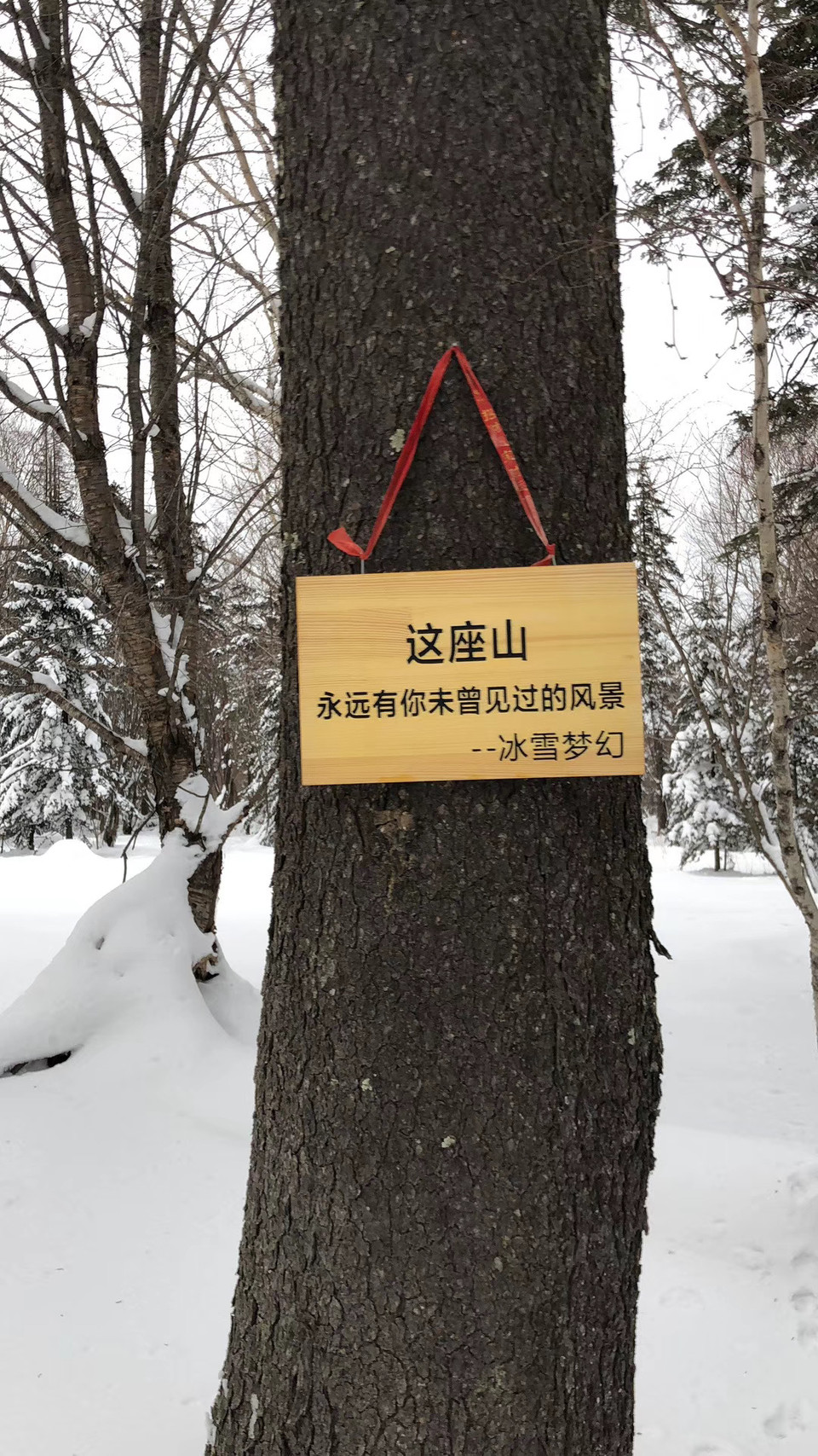 微信图片_20201104112010