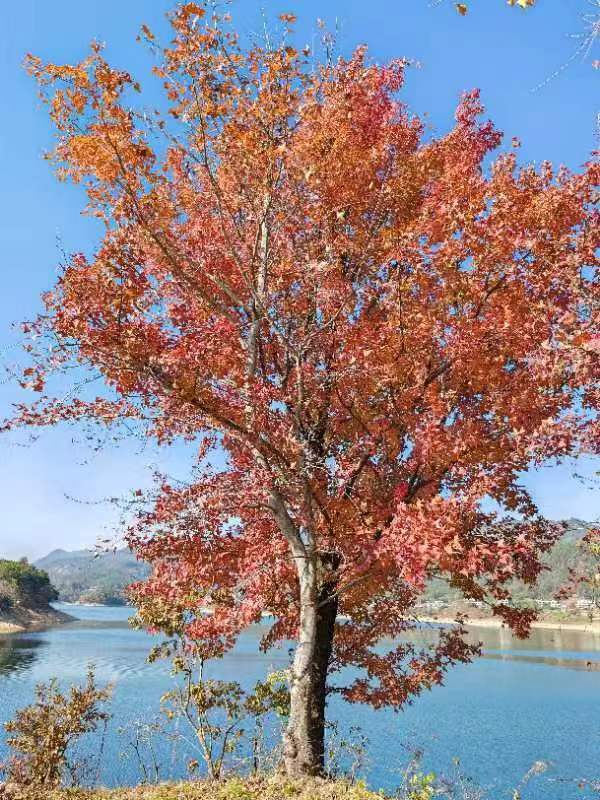 微信图片_20231120100238