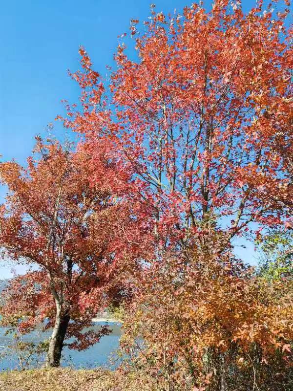 微信图片_20231120100244