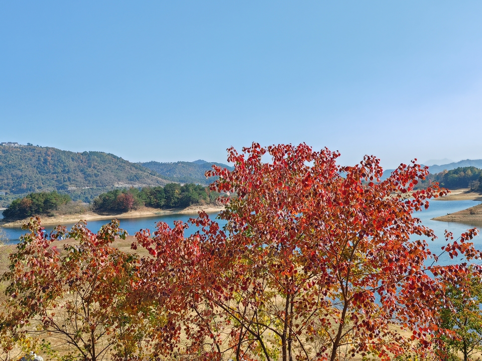 微信图片_20231120100309