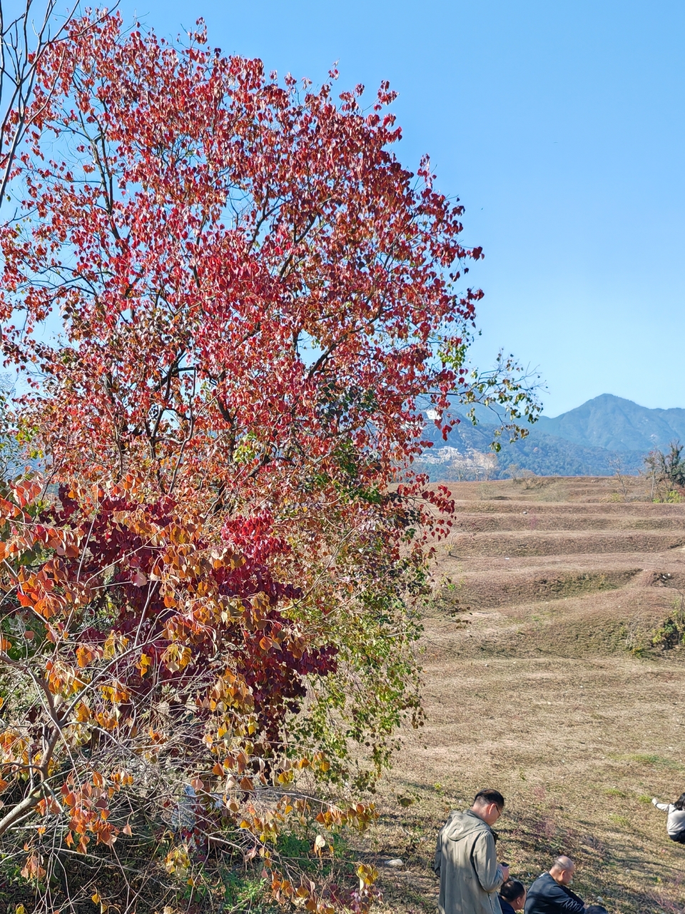 微信图片_20231120100314