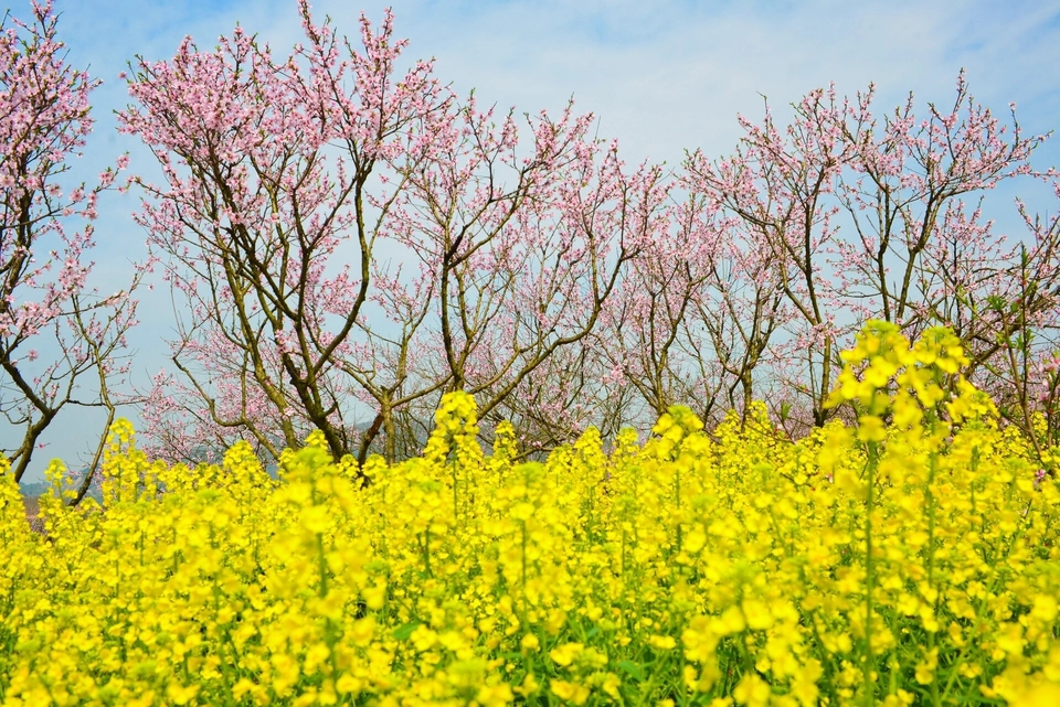 微信图片_20240317183904