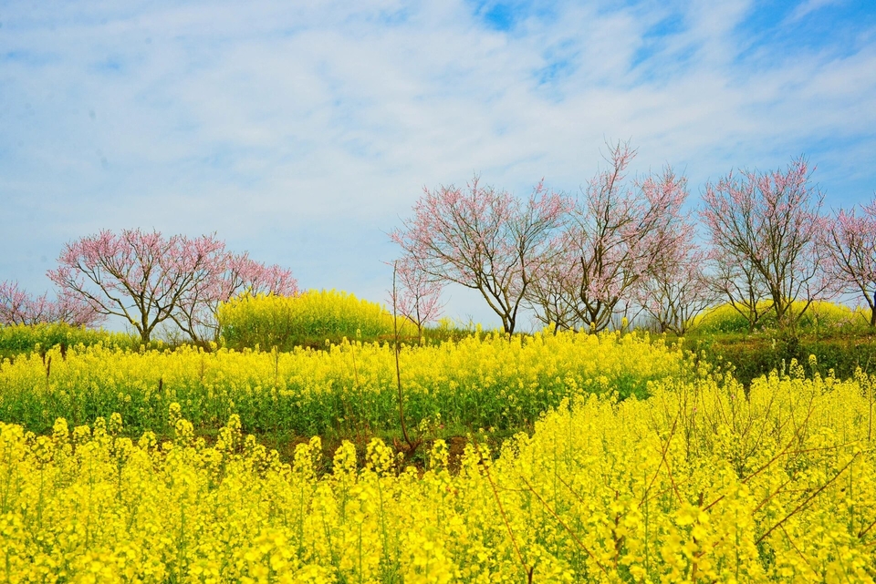 微信图片_20240317183911