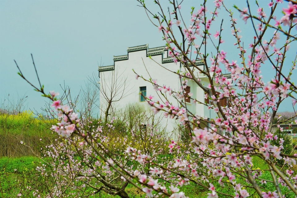 微信图片_20240317183915