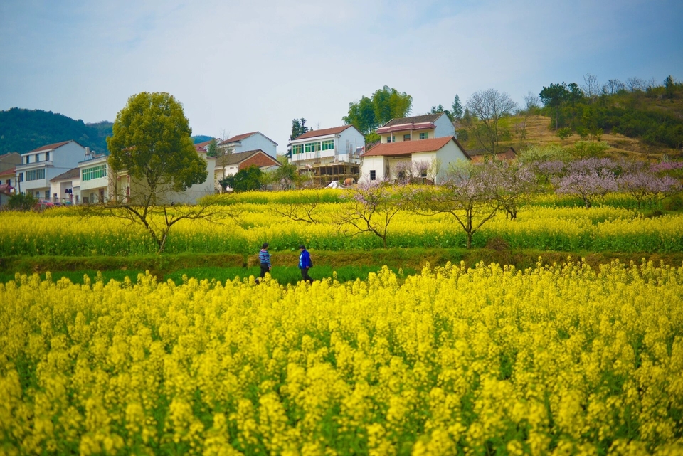 微信图片_20240317183922