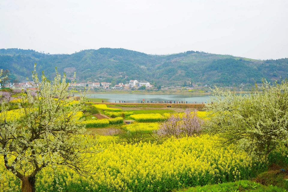 微信图片_20240317183925