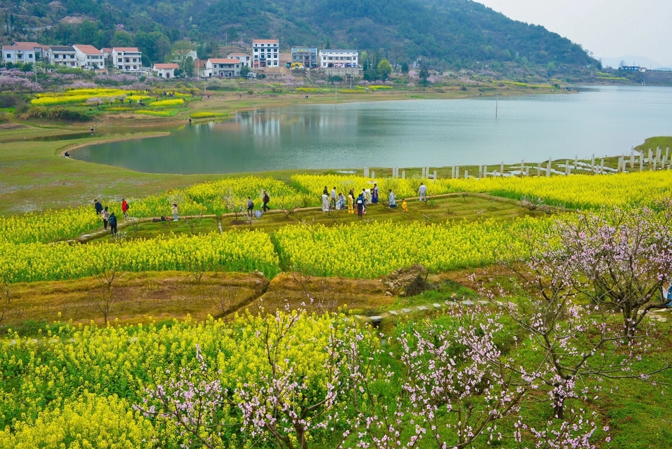 微信图片_20240317183944