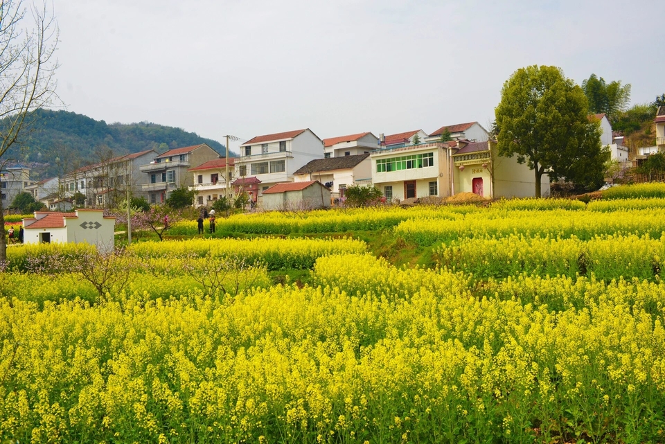 微信图片_20240317183947