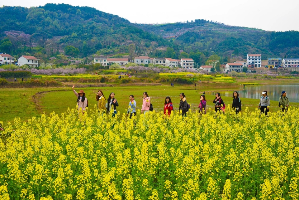 微信图片_20240317183956