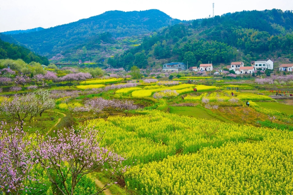 微信图片_20240317184000