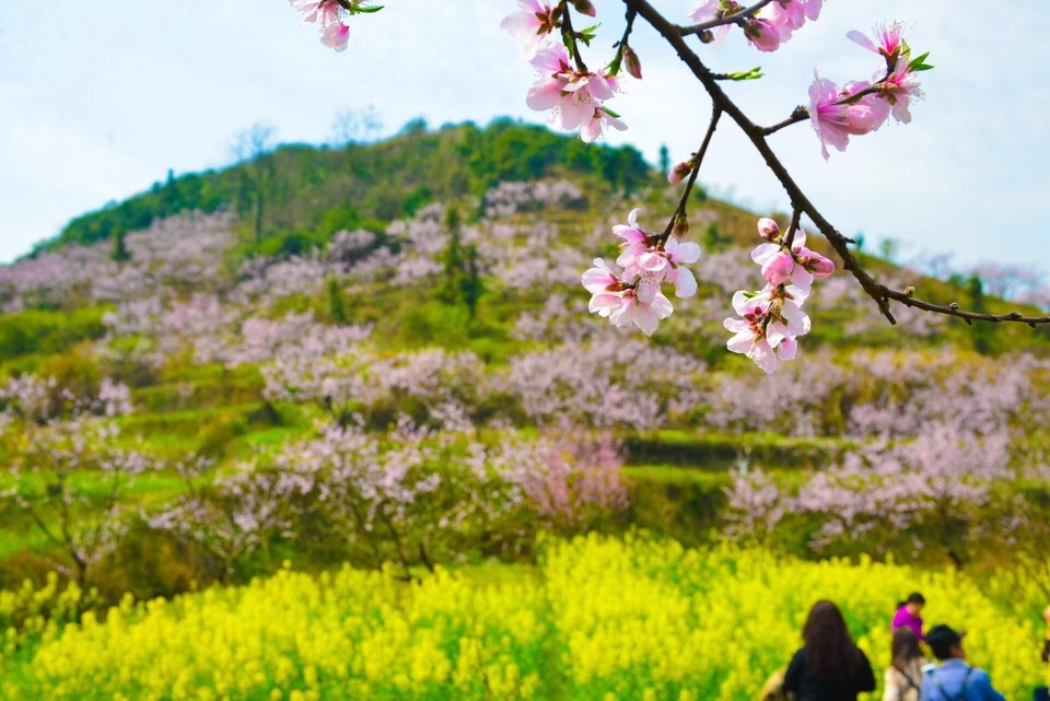 微信图片_20240317184005